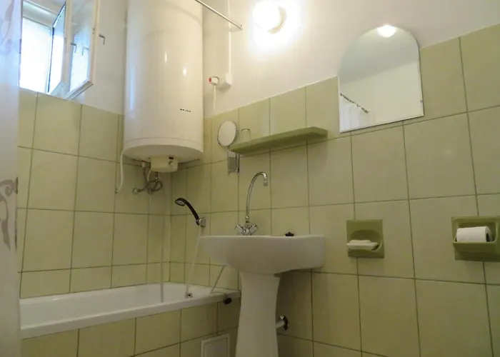 Csányi